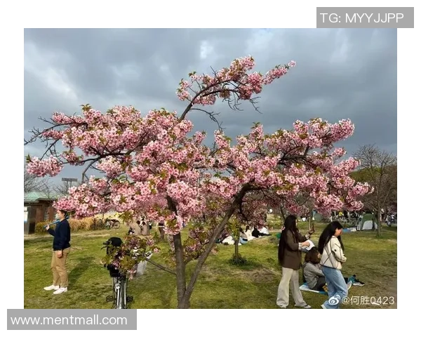 大阪樱花与鸟栖激战正酣谁能在这场对决中笑到最后