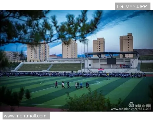 李添荣的奋斗历程与成就探秘:从平凡到卓越的励志故事